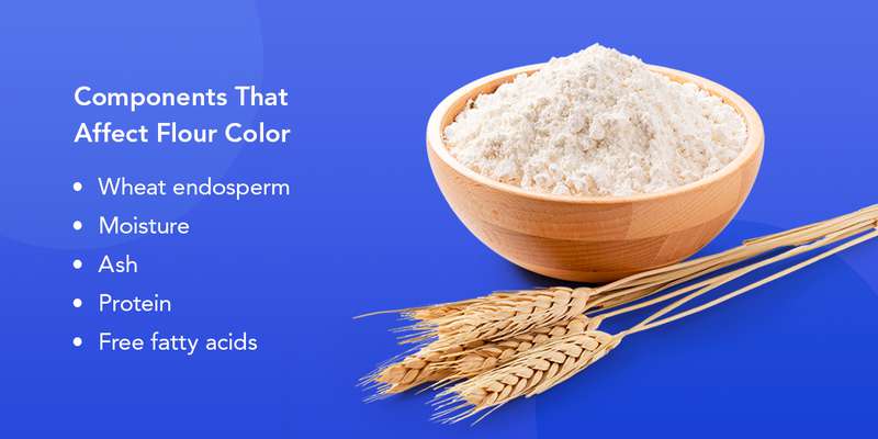 Components That Affect Flour Color