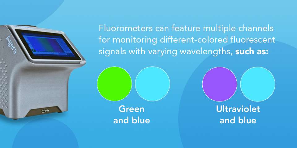 01-Fluorometers-can-feature-multiple.jpg