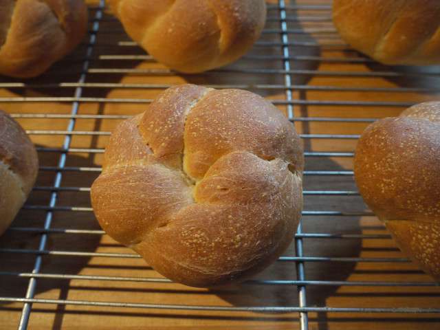 buns.jpg