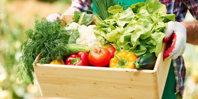 close-up-box-with-vegetables-hands-mature-man.jpg